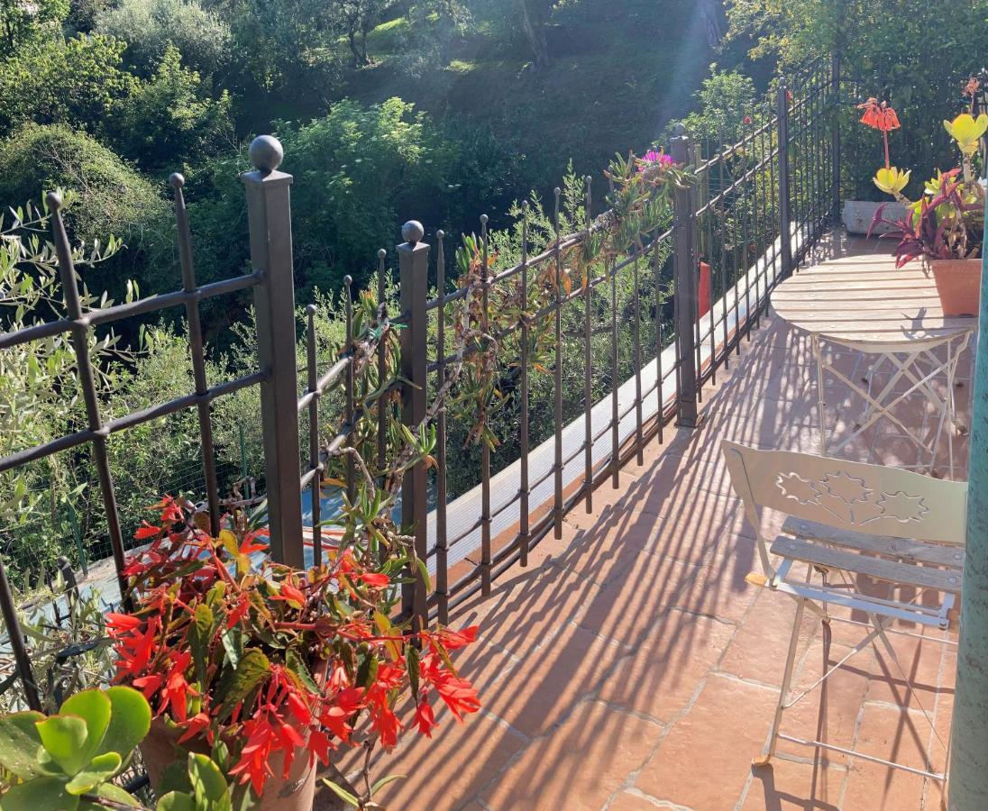 Affittacamere La casina delle rondini Corsanico-Bargecchia Esterno foto