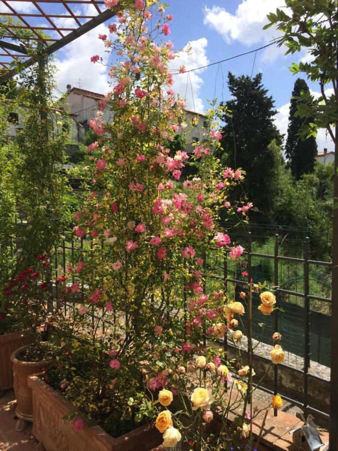Affittacamere La casina delle rondini Corsanico-Bargecchia Esterno foto