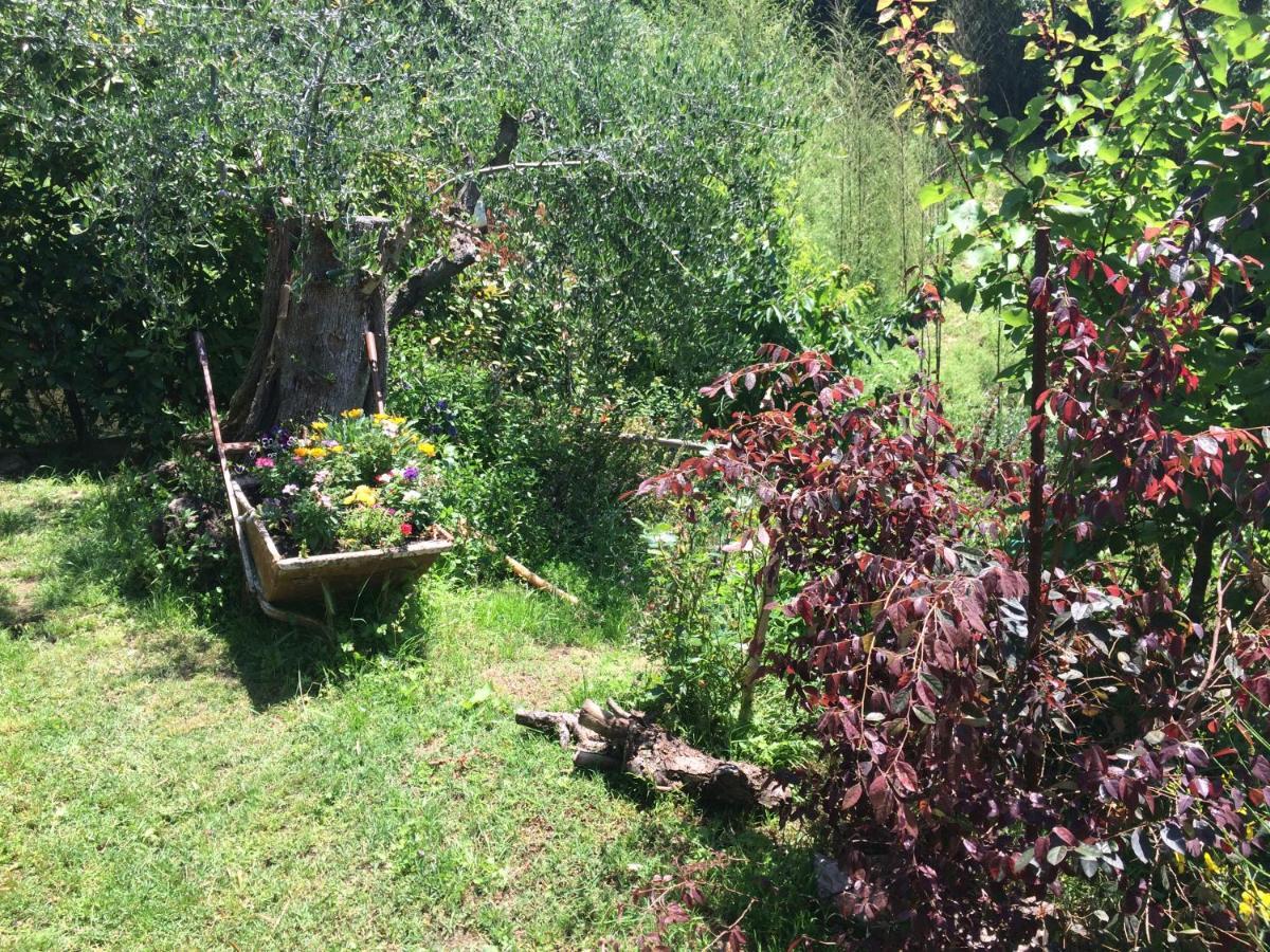 Affittacamere La casina delle rondini Corsanico-Bargecchia Esterno foto