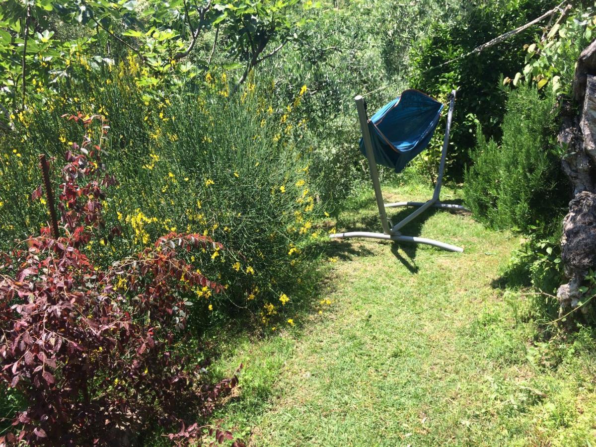 Affittacamere La casina delle rondini Corsanico-Bargecchia Esterno foto